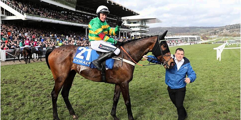 cheltenham-tips-comprehensive-guide-of-who-s-tipping-what-on-day