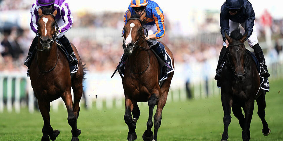 British Horseracing Authority...