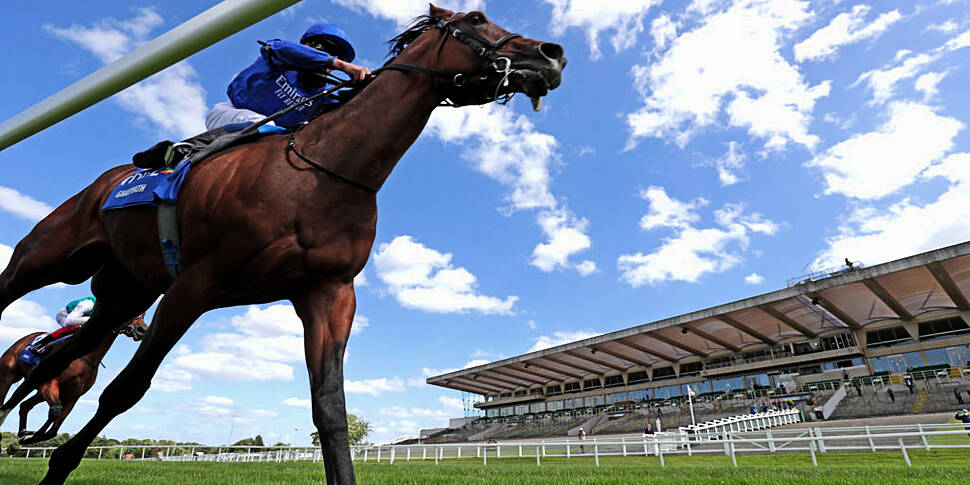 Leopardstown tips for Longines...