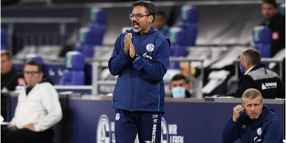 Schalke 04 part ways with form...