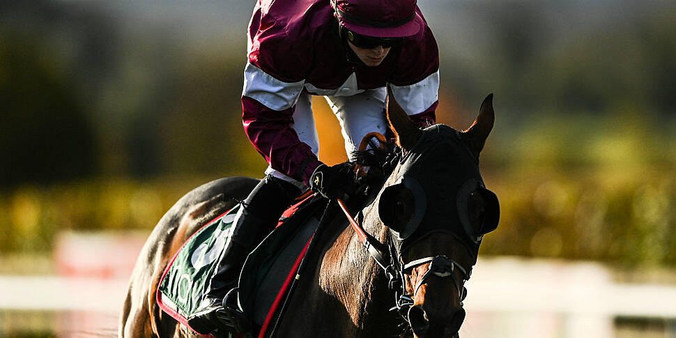Tiger Roll has