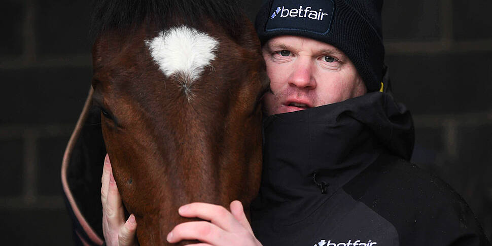Gordon Elliott to 'cooperate f...