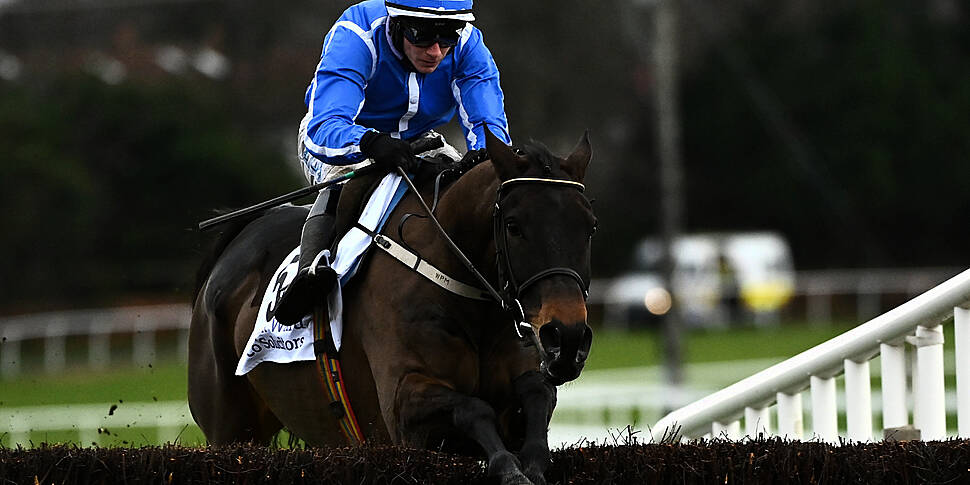 Willie Mullins | Energumene ou...