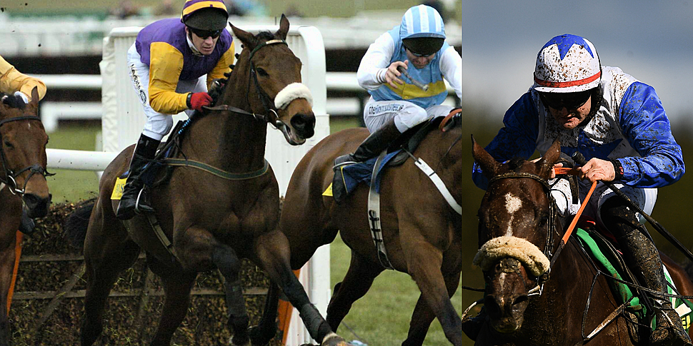Bridle Horses or Lazy Horses |...