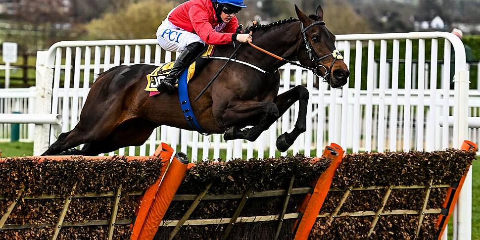 'We have the best horses' | Sa...