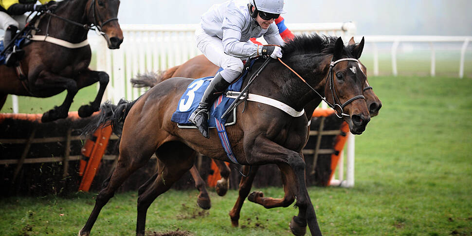 'The horse landed on top of me...