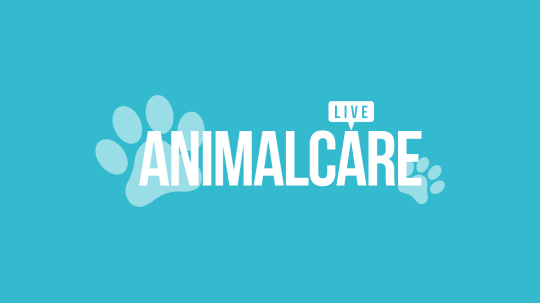 Animal Care