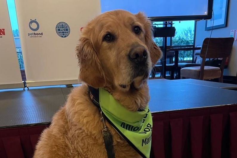 Kerry dog Marcel wins top Golden Paw award