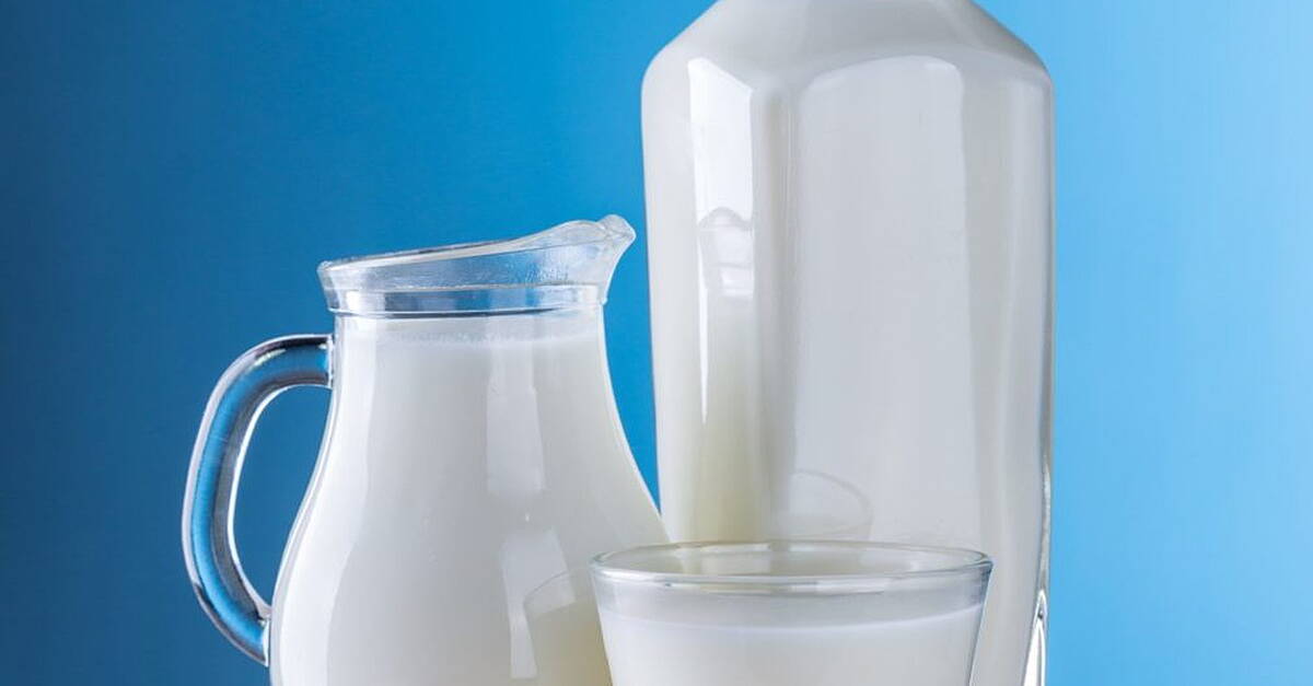 ICMSA chair calls for at least 37 cent per litre price for milk suppliers - Vimarsana News