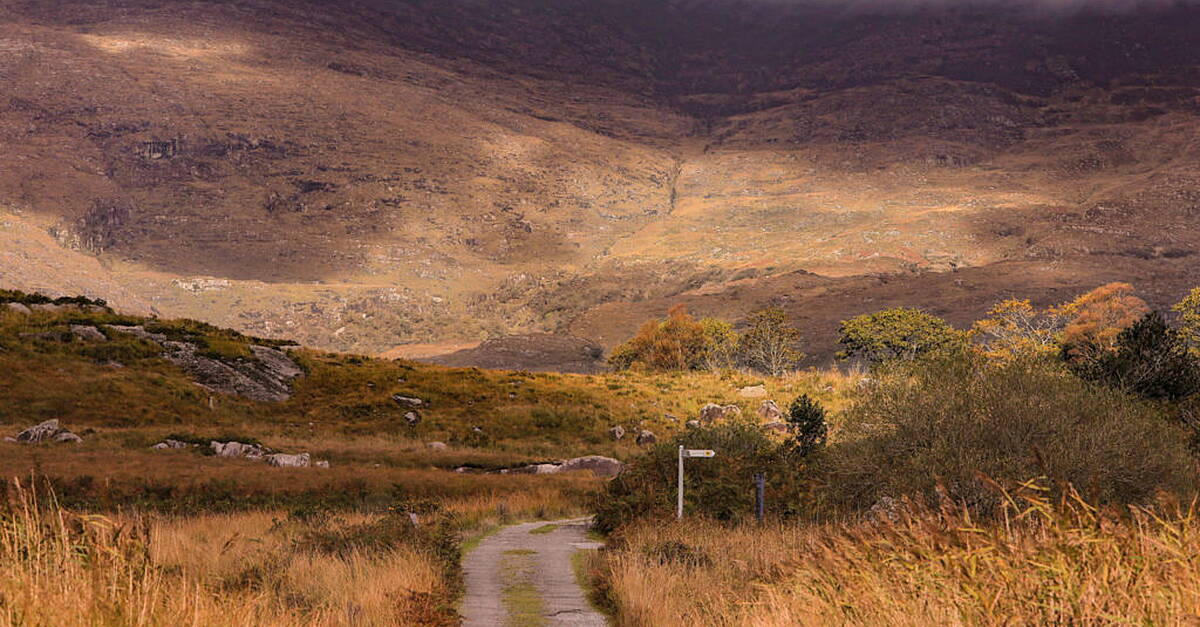 NPWS buys land in Black Valley for conservation - Vimarsana News