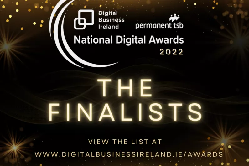 Nine Kerry businesses are finalists in National Digital Awards