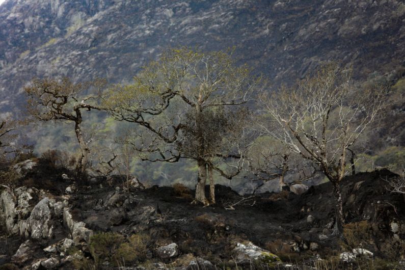 People urged not to light fires or barbecues in Kerry parks