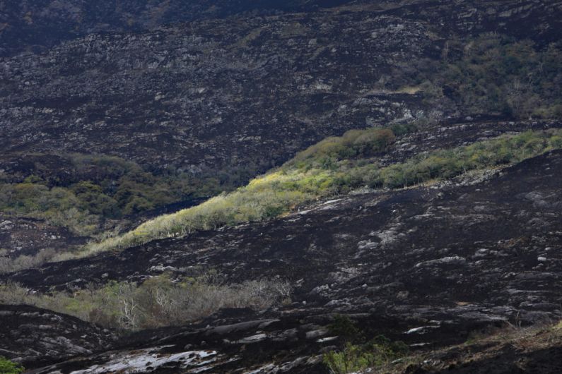 Farmers impacted by Killarney National Park fire hit with fines