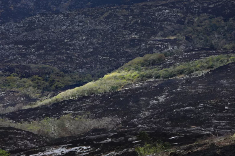 Calls for taskforce to be established following Killarney National Park fire
