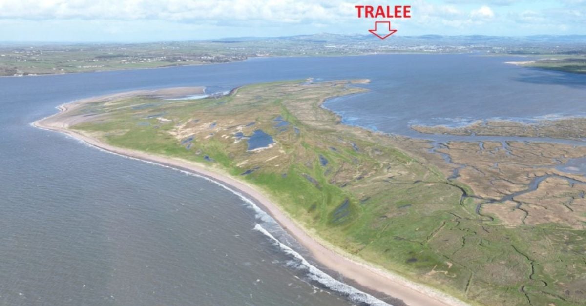 The over 100-hectare Derrymore Island makes up part of the more than 300-acre landholding - which is for sale by private treaty.
