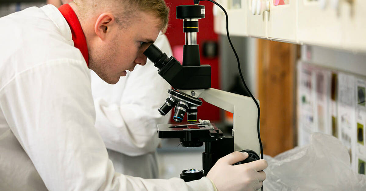 Kerry veterinary laboratory encourages students to study animal diagnostic testing Kerry veterinary laboratory encourages students to study animal diagnostic testing