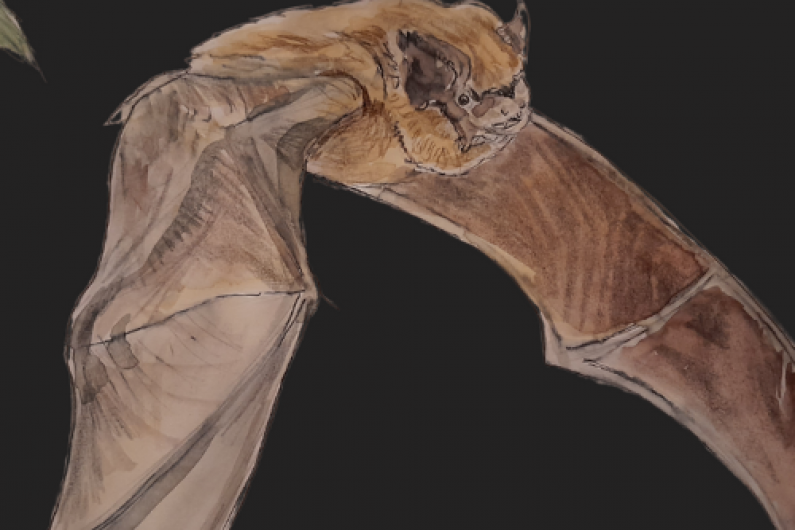 Sculpture of Lesser horseshoe bat is being launched in Killarney this Saturday