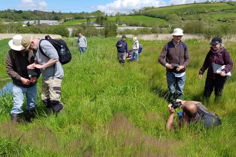 Botanists from across Ireland taking part in four days of flora event in Killarney