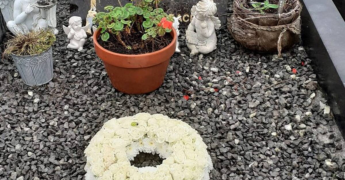 Arrests made in Kerry baby murder case from 1984 - Vimarsana News