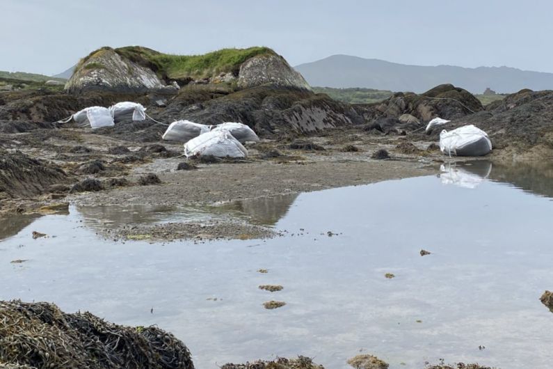 Department investigates alleged unlicensed seaweed harvesting in Kenmare River