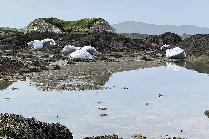 Department investigates alleged unlicensed seaweed harvesting in Kenmare River