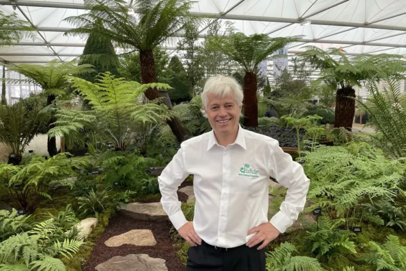 Kerry master gardener announces ambitious plan for Chelsea Flower Show