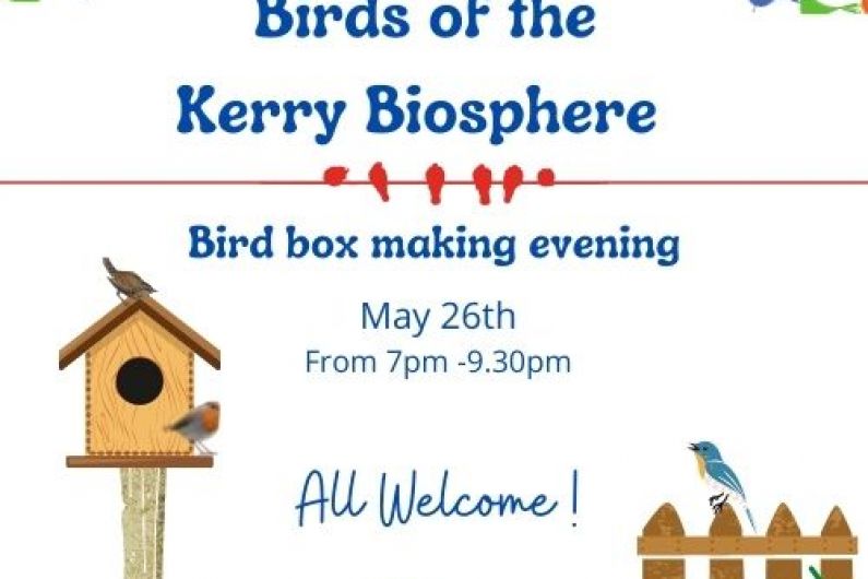 Event in Killarney aims to teach people how to create bird boxes