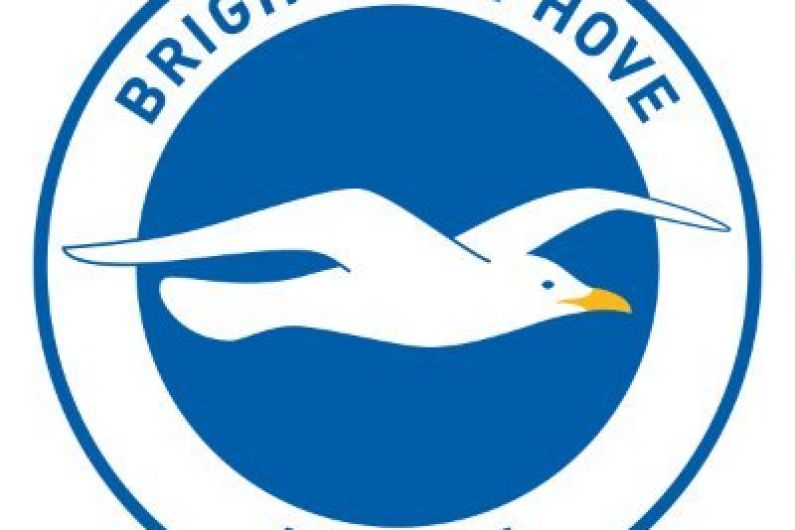 Brighton appoint Hurzeler as new head coach