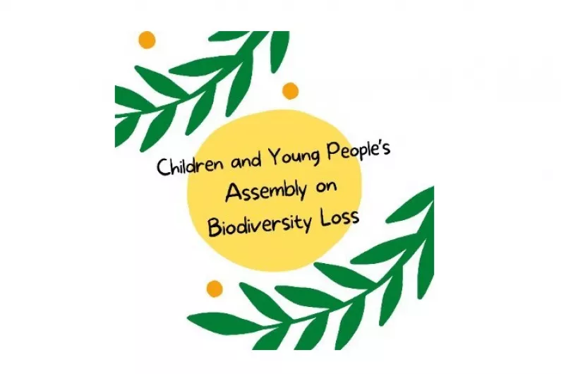 Children and Young People’s Assembly on Biodiversity Loss meeting in Killarney