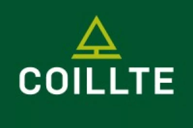 Coillte withdraws plans for 54-acre plantation in West Limerick