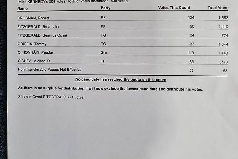 Councillor Seamus Cosaí Fitzgerald loses seat