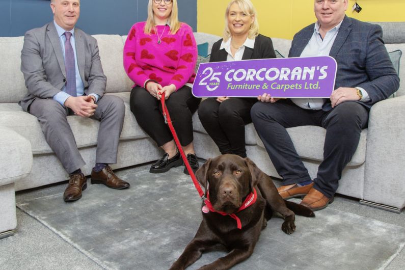Kerry company raising funds for Autism Assistance Dogs Ireland