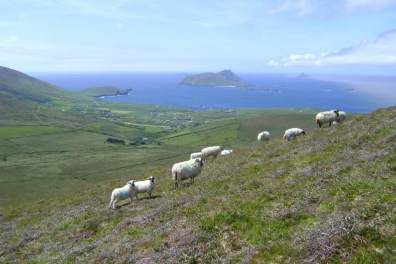 Fáilte Ireland working with council to manage traffic around Slea Head