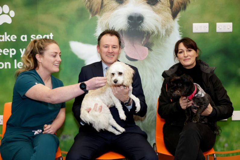 Four Kerry animal welfare charities to receive almost &euro;80,000 in funding