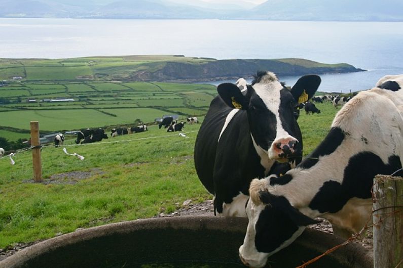 Concerns some Kerry vets may feel pressured into not finding herds TB positive