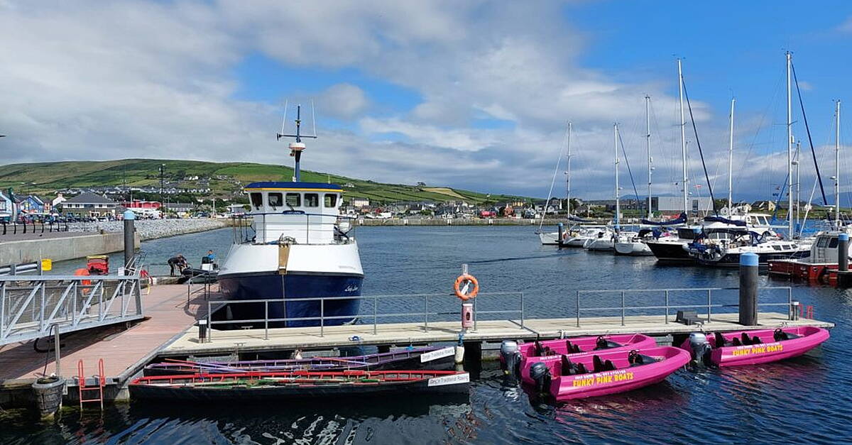 Buildings and yard in Dingle Harbour out for tender - Vimarsana News