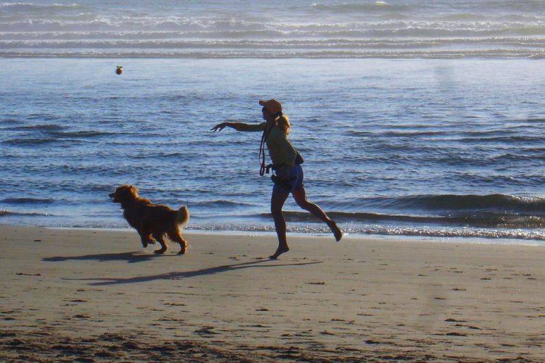 There&rsquo;ll be restricted access for dogs and horses at Kerry's Blue Flag beaches this summer