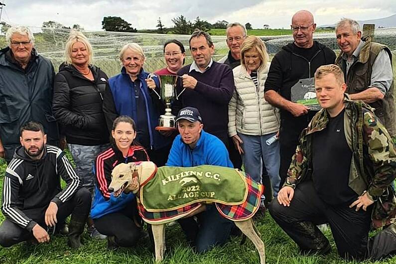 Kilflynn coursing feature won by Dresden Dingo