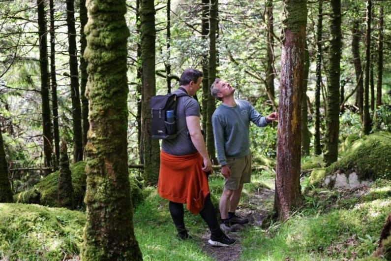 Bat Walk around Fossa Woods taking place tonight