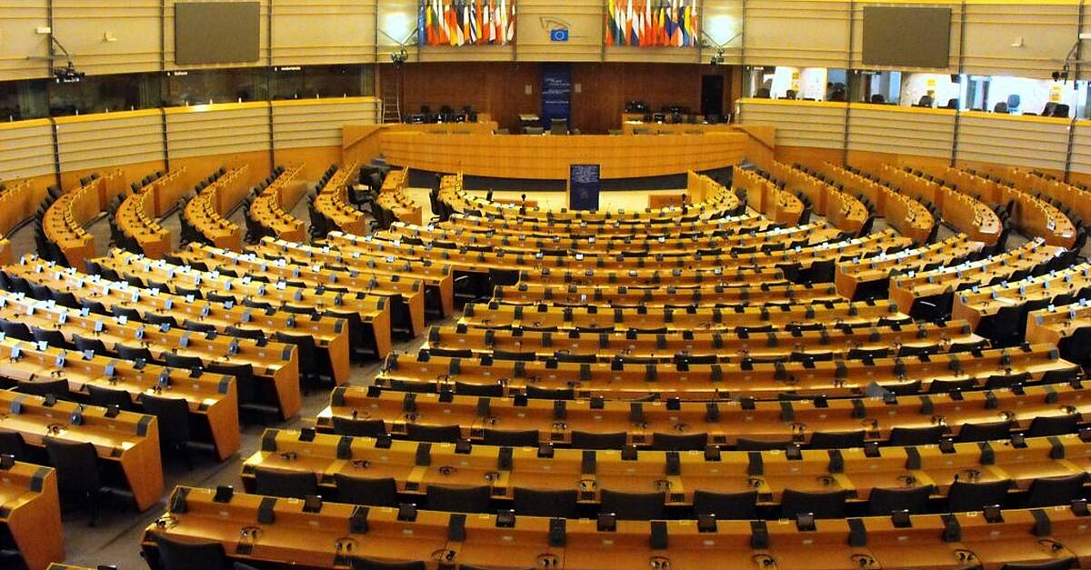 Ireland South Meps Appointed To European Parliament Committees