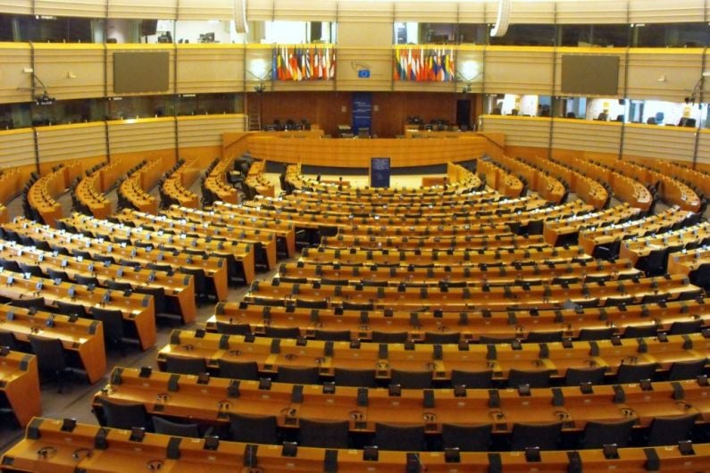 Ireland South MEPs appointed to European Parliament committees