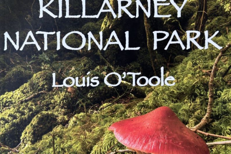 New book records 500 species of fungi in Killarney National Park