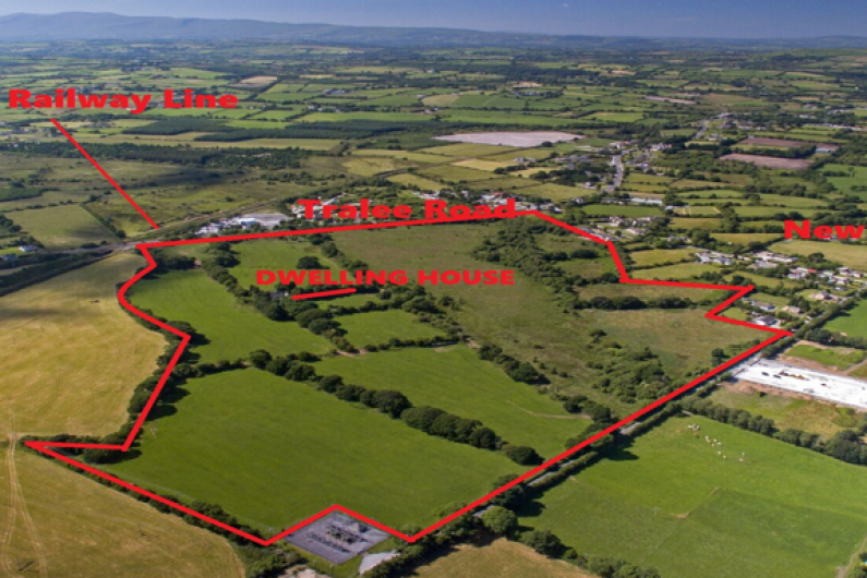Killarney farm sells at auction for over &euro;1.5 million