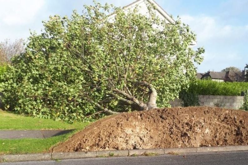 Kerry County Council currently tending to fallen trees