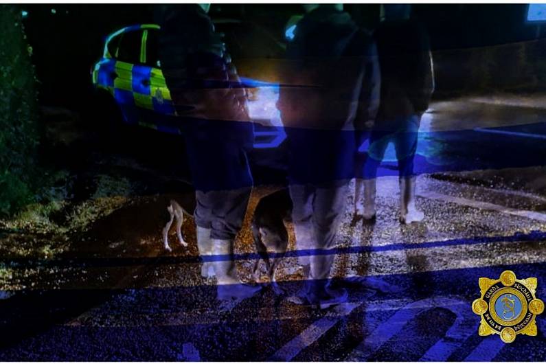 Garda&iacute; detect four men with dogs were allegedly hunting hares in North Kerry