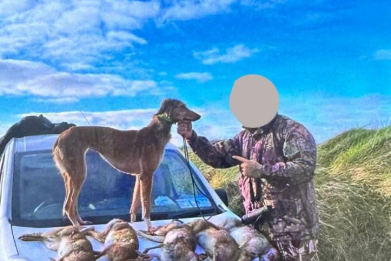 Hare poaching report received by Kerry gardaí