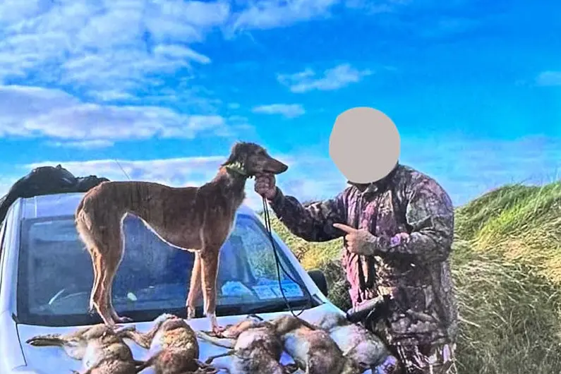 Hare poaching report received by Kerry gardaí