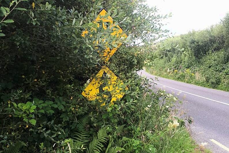 No plans for community grant scheme for hedge cutting in Kerry