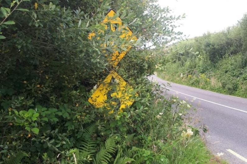 Kerry man cutting back hedges to make road signs visible