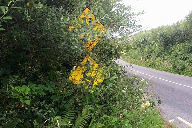 Killarney councillor urges council to take out ads reminding landowners to cut overgrown hedges